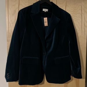 NWT Velvet LOFT Blazer